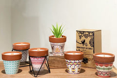Agnes + Cat Herb Garden Candles - Mint