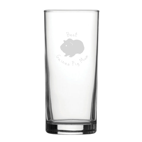 Best Guinea Pig Dad - Engraved Novelty Hiball Glass