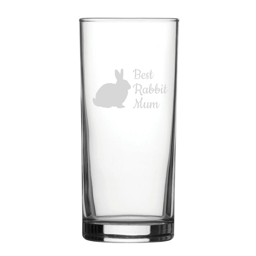Best Rabbit Dad Best Rabbit Dad - Engraved Novelty Hiball Glass