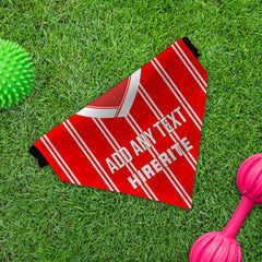 Bristol 1998 Home Shirt - Personalised Pet Bandana - 4 Sizes