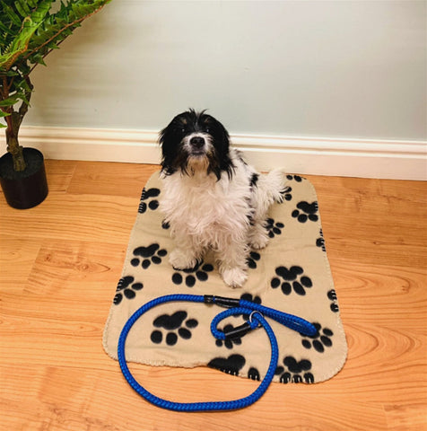 Brown Paw Print Fleece Throw 60cm