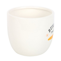Bunny Treats Ceramic Pot