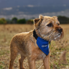 Cardiff 1976 Home Shirt - Personalised Pet Bandana - 4 Sizes