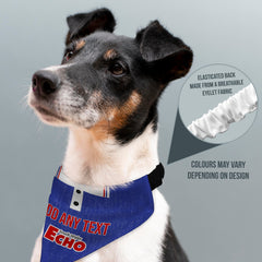 Cardiff 1992 Home Shirt - Personalised Pet Bandana - 4 Sizes