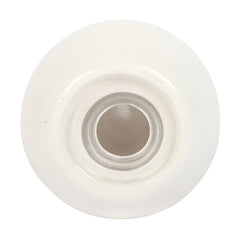Clam Shell Salt and Pepper Shakers