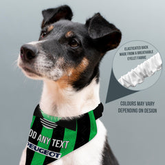 Coventry 1995 Away Shirt - Personalised Pet Bandana - 4 Sizes