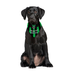 Coventry 1995 Away Shirt - Personalised Pet Bandana - 4 Sizes