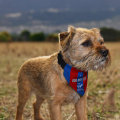 Crystal-Palace 1978 Home Retro Shirt - Personalised Pet Bandana - 4 Sizes