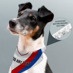 Crystal-Palace 1991 Away Retro Shirt - Personalised Pet Bandana - 4 Sizes