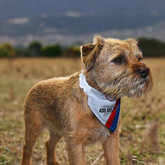 Crystal-Palace 1991 Away Retro Shirt - Personalised Pet Bandana - 4 Sizes