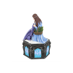 Dragon Friendship Winter Box by Anne Stokes