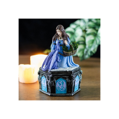 Dragon Friendship Winter Box by Anne Stokes