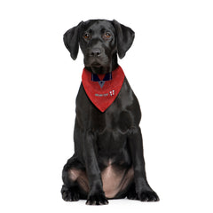 England 1990 Away Shirt - Personalised Pet Bandana - 4 Sizes