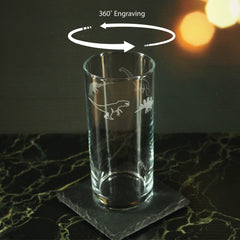 Engraved Dinosaur Pattern Hiball Set of 4 12oz Glasses
