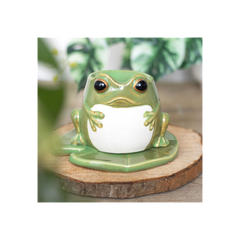 Frog Shaped Oil Burner on Lily Pad