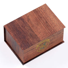 Harry Potter Time Turner Necklace & Earrings Gift Box