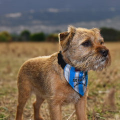 Heart of Midlothian 1995 Away Shirt - Personalised Pet Bandana - 4 Sizes