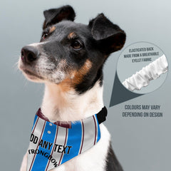 Heart of Midlothian 1995 Away Shirt - Personalised Pet Bandana - 4 Sizes