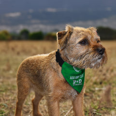 Hibernian 1988 Home Shirt - Personalised Pet Bandana - 4 Sizes
