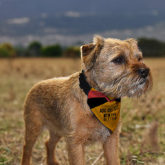 Hull 1998 Home Shirt - Personalised Pet Bandana - 4 Sizes
