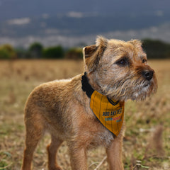 Hull 2009 Home Shirt - Personalised Pet Bandana - 4 Sizes