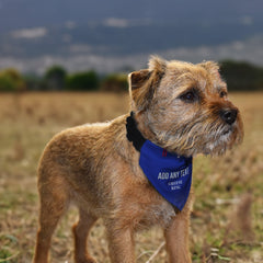 Ipswich 1996 Home Shirt - Personalised Pet Bandana - 4 Sizes