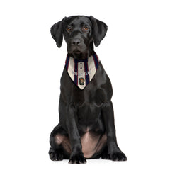 Ipswich 1997 Away Shirt - Personalised Pet Bandana - 4 Sizes
