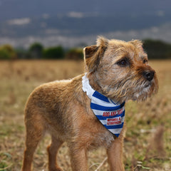 Kilmarnock 1985 Home Shirt - Personalised Pet Bandana - 4 Sizes