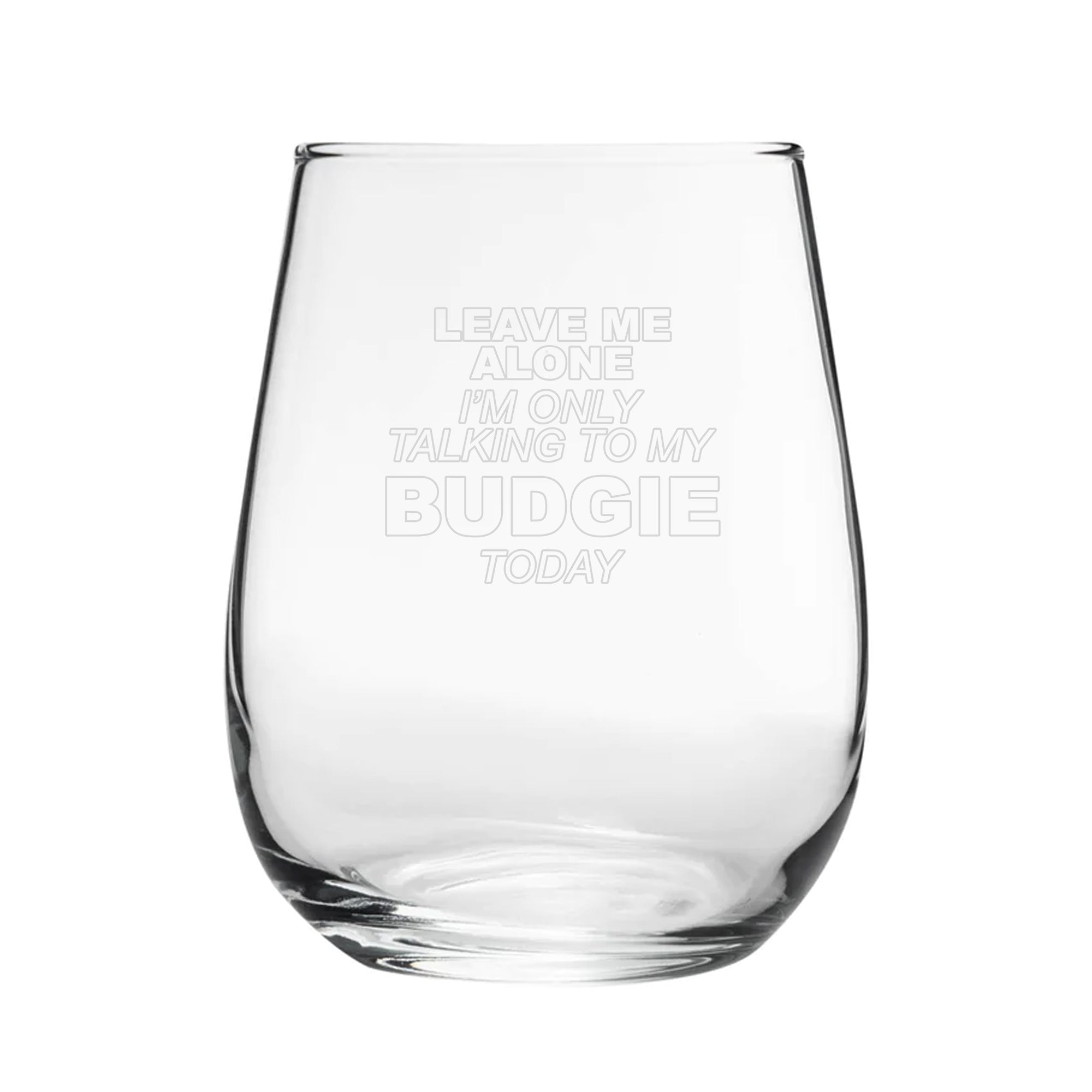 Leave Me Alone I'm Only Talking To My Budgie Today - Engraved Novelty Stemless Wine Gin Tumbler