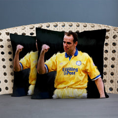 Lee Buccilli - Mel Sterland- Cushion, Three Sizes