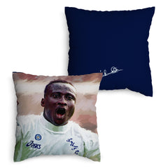 Lee Buccilli - Yeboah - Cushion, Three Sizes
