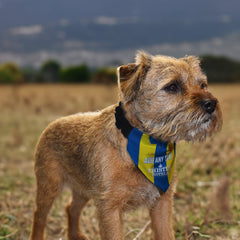 Leeds 1994 Away Shirt - Personalised Pet Bandana - 4 Sizes