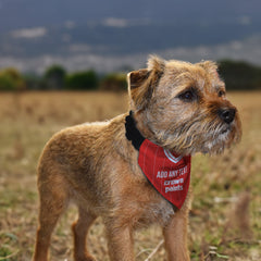 Liverpool 1989 Home Shirt - Personalised Pet Bandana - 4 Sizes