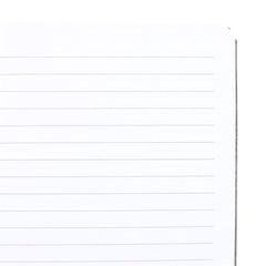 Luna Moth A5 Notebook