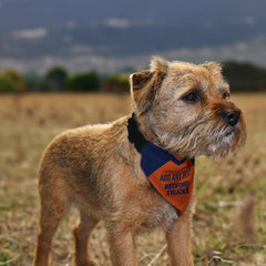Luton 1983 Away Shirt - Personalised Pet Bandana - 4 Sizes