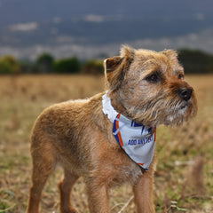 Luton 1992 Away Shirt - Personalised Pet Bandana - 4 Sizes