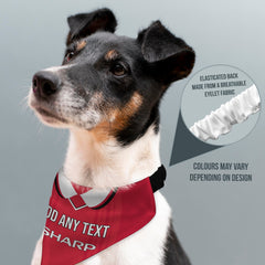 Manchester Red 1999 Home Retro Shirt - Personalised Pet Bandana - 4 Sizes