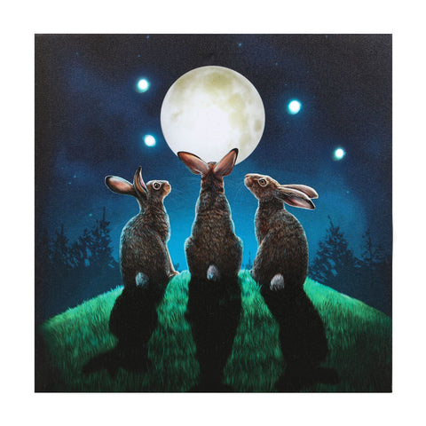 Moon Shadows Light Up Canvas Plaque by Lisa Parker