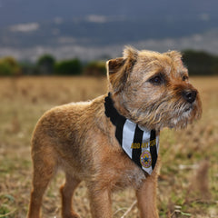 Newcastle 1996 Home Shirt - Personalised Pet Bandana - 4 Sizes