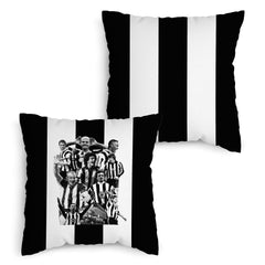 Newcastle Montage - Cushion - Two Sizes