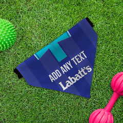 Nottingham Forest 1993 Away Shirt - Personalised Pet Bandana - 4 Sizes