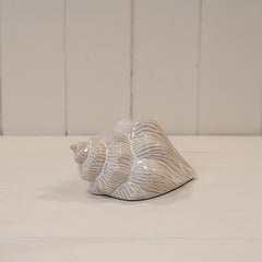 Glazed Ceramic Shell Ornament with Textured Detail