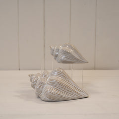 Glazed Ceramic Shell Ornament with Textured Detail