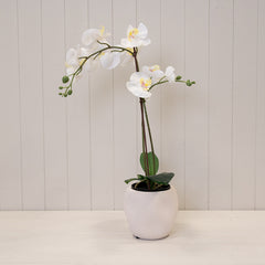 White Textured Stone Plant Pot