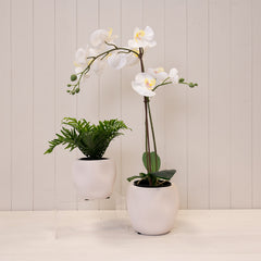 White Textured Stone Plant Pot