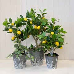 Set of Three Rustic metal planters with Meadow design
