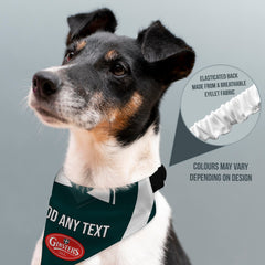 Plymouth 2003 Home Shirt - Personalised Pet Bandana - 4 Sizes