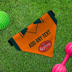 Plymouth 2004 Away Shirt - Personalised Pet Bandana - 4 Sizes