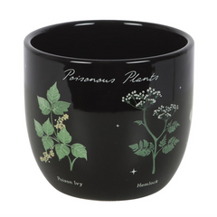 Poisonous Plants Plant Pot