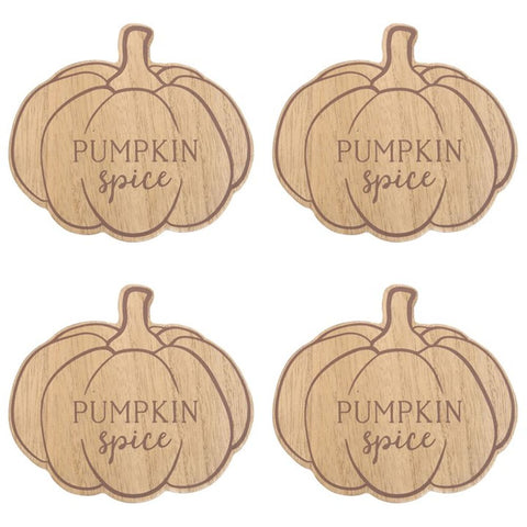 Pumpkin Spice Coaster Set